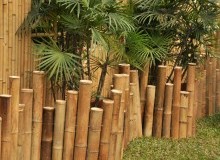 Kwikfynd Landscape Designer
fernygrove