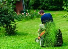 Kwikfynd Lawn Mowing
fernygrove