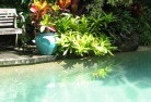 Ferny Groveswimming-pool-landscaping-3.jpg; ?>