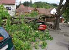 Kwikfynd Tree Cutting Services
fernygrove